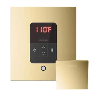 iTempo Square Steam Shower Control in Polished Brass