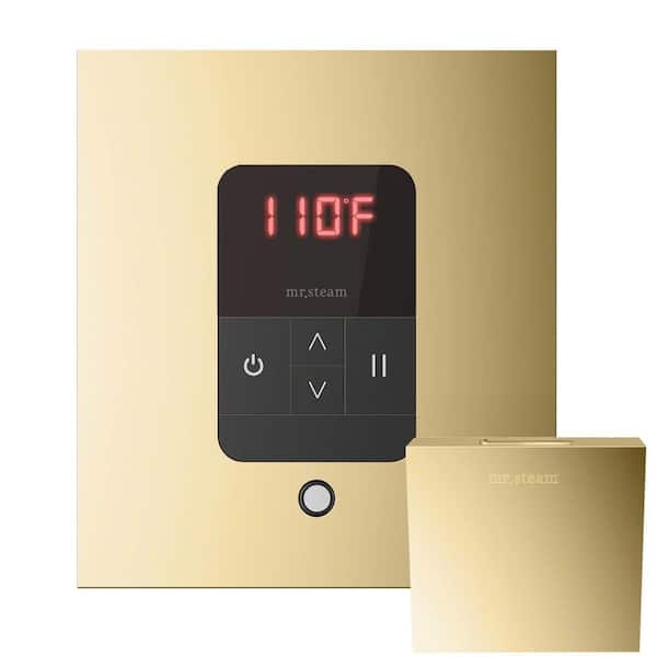 iTempo Square Steam Shower Control in Polished Brass