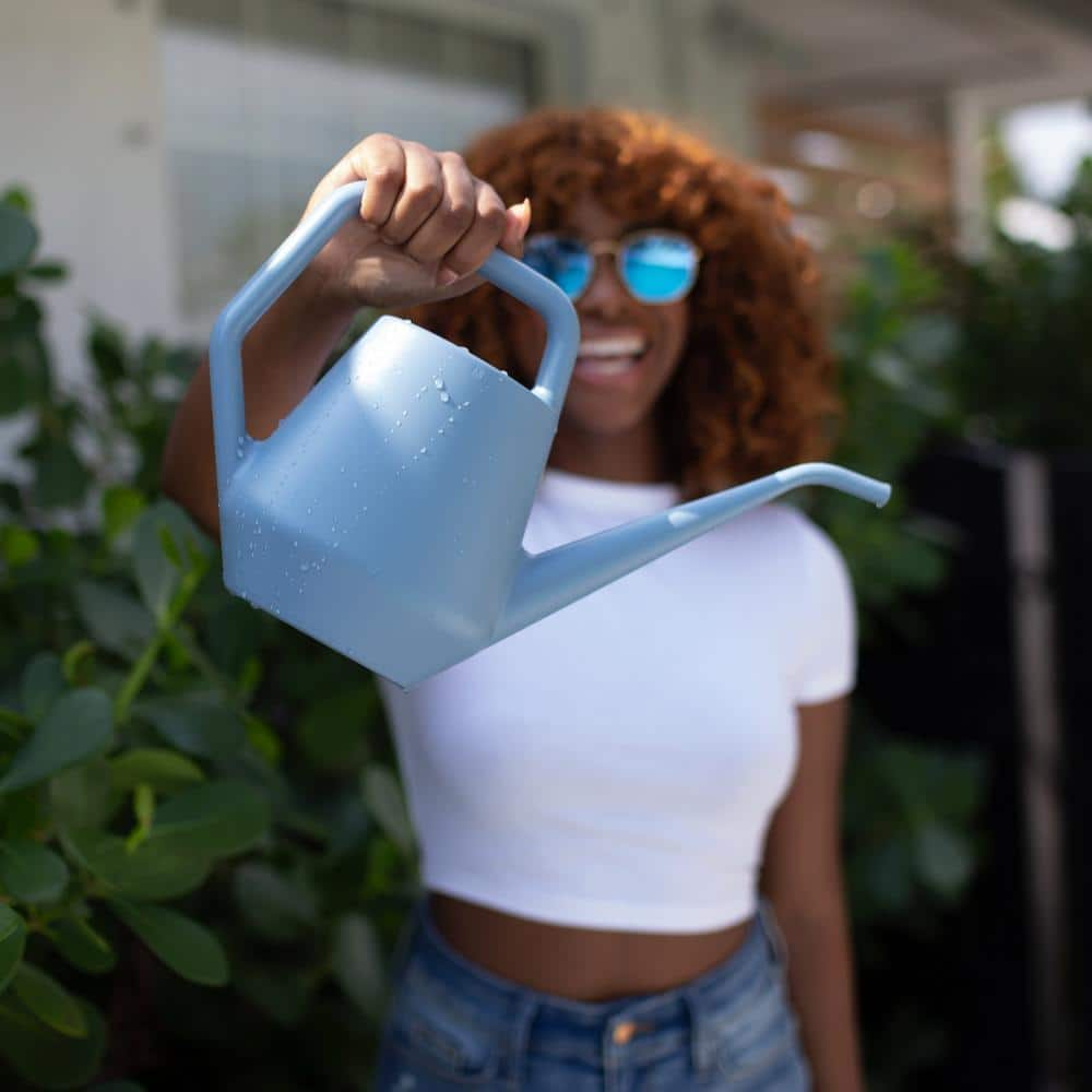 Unbranded 1.5 L Sparrow Blue/Gray Watering Can SWC1599