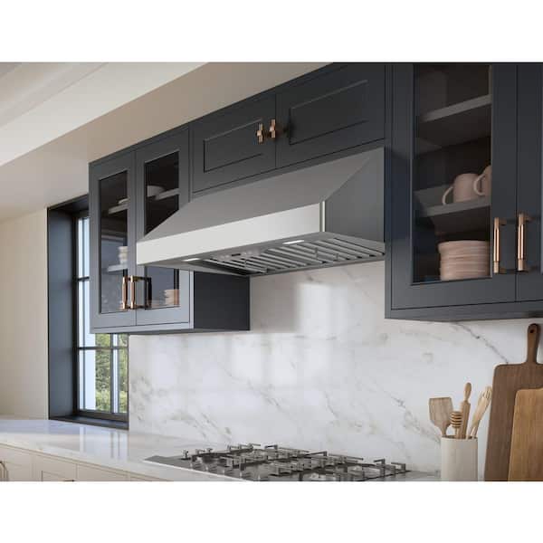 Zephyr Tempest I 42 in. 650 CFM Convertible Under Cabinet Mount