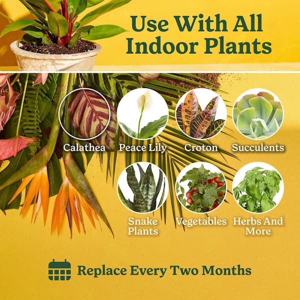 Indoor Plant Food Spikes for All Plants, For Houseplants, Flowers, Vegetables, and Herbs (24 Spikes)