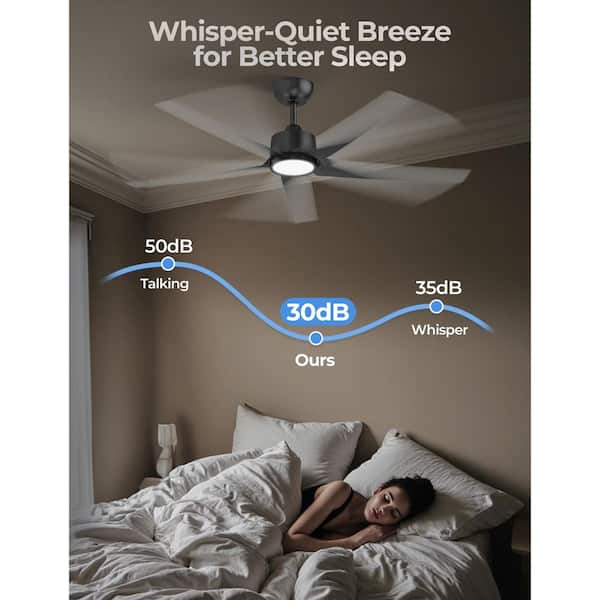 QRMOK W5 52 in. LED Indoor Black Ceiling Fan with Light and