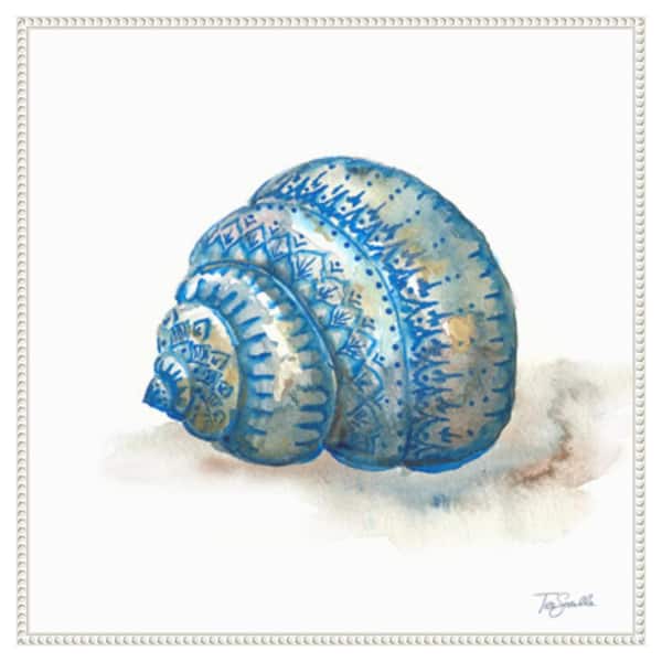 Amanti Art Bohemian Shells I by Tre Sorelle Studios 30-in. W x 30-in. H. Canvas Wall Art Print Framed in White