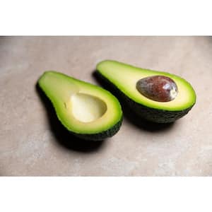 Digital Multi-Store Gift Cards  Avocado®, Reed+Gwen® & Hass® – Avocado  Green Mattress