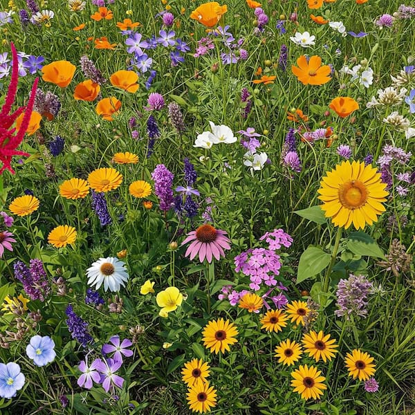 1 lb. Bird Lover's Mix Bulk Wildflower Seeds