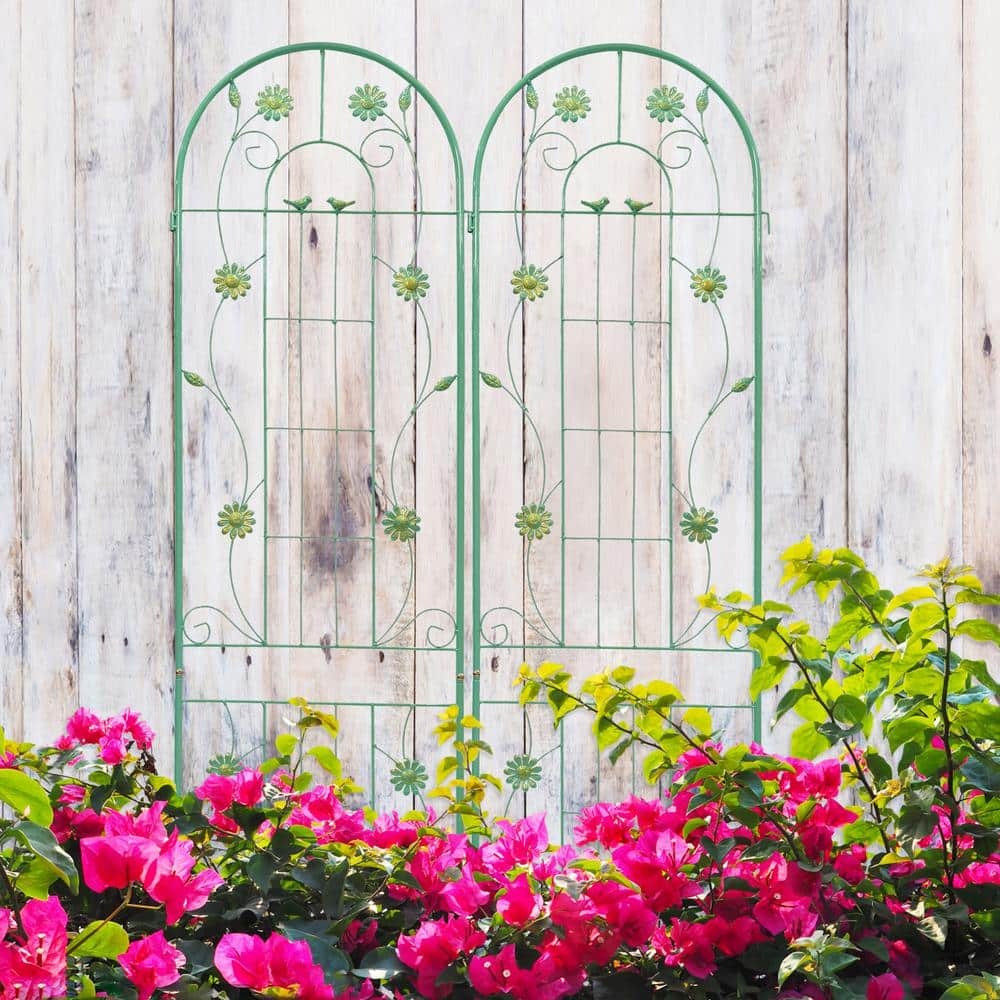 Zeus & Ruta 86 .7 in. x 19.7 in. Green Metal Garden Trellis with Gate ...