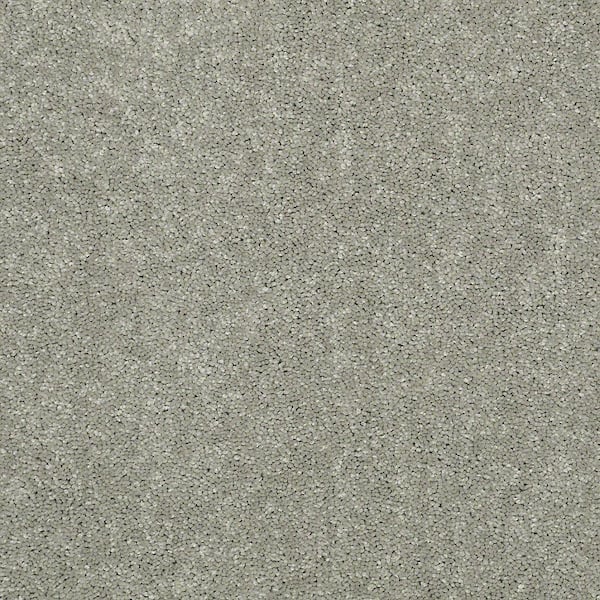 TrafficMaster 8 in. x 8 in. Texture Carpet Sample - Watercolors I - Color Feathered Beige