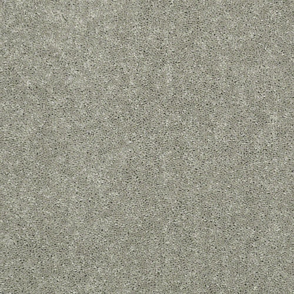 8 in. x 8 in. Texture Carpet Sample - Watercolors II - Color Feathered Beige price history on PriceWatchPro