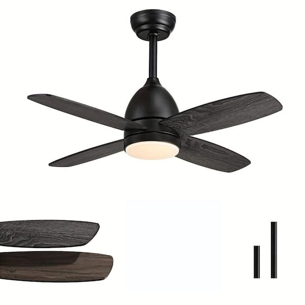 36 in. Modern Indoor Traditional Short Fan Blade Black Ceiling Fan with Light and Remote for Bedroom Dining Room