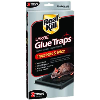 Large Glue Traps Non-Toxic, Ready-to-Use Rat Control (2-Count)