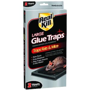 Large Rat and Mice Glue Traps (2-Count)