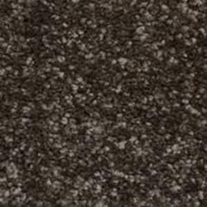 8 in. x 8 in. Texture Carpet Sample - Sycamore II -Color Ebony