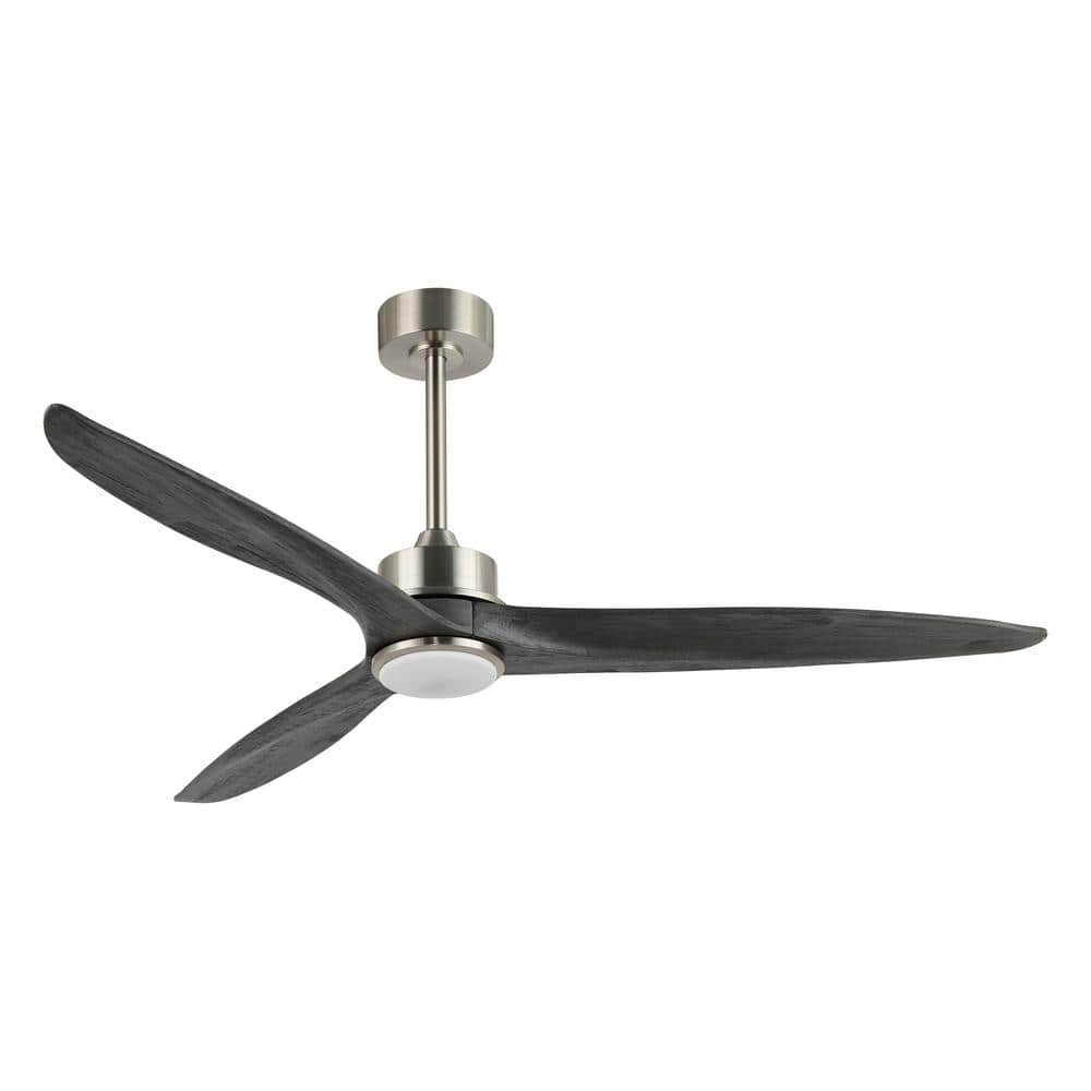 WINGBO 60 Inch DC Ceiling Fan with Lights and Remote Control, 3