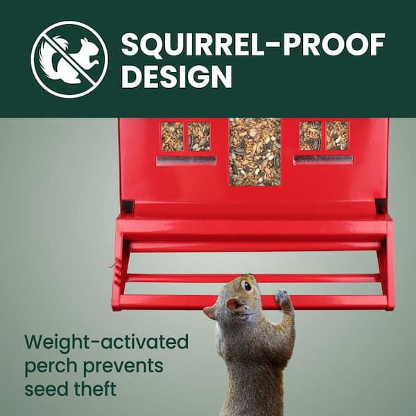 Squirrel-Be-Gone II Country Style Squirrel Resistant Metal Wild Bird Feeder - 8 lb. Capacity