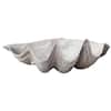House Parts Large Clam Shell 4331-73 - The Home Depot