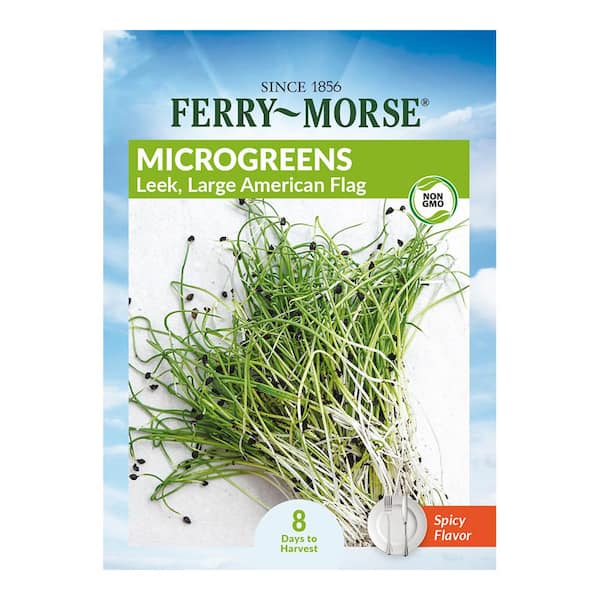 Ferry-Morse Leek Large American Flag Micro-green Vegetable Seeds