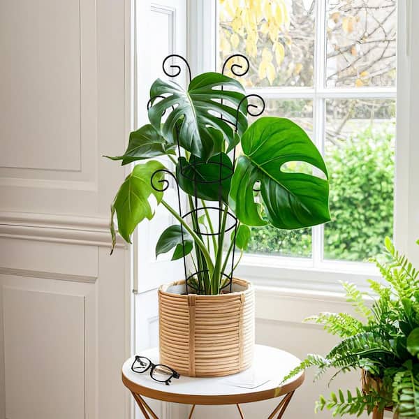 indoor water planter Smart Automatic Plant Watering System – No Daily Watering main image 0