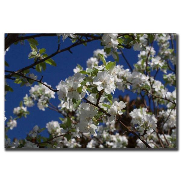 Trademark Fine Art 22 in. x 32 in. Floral Tree Canvas Art