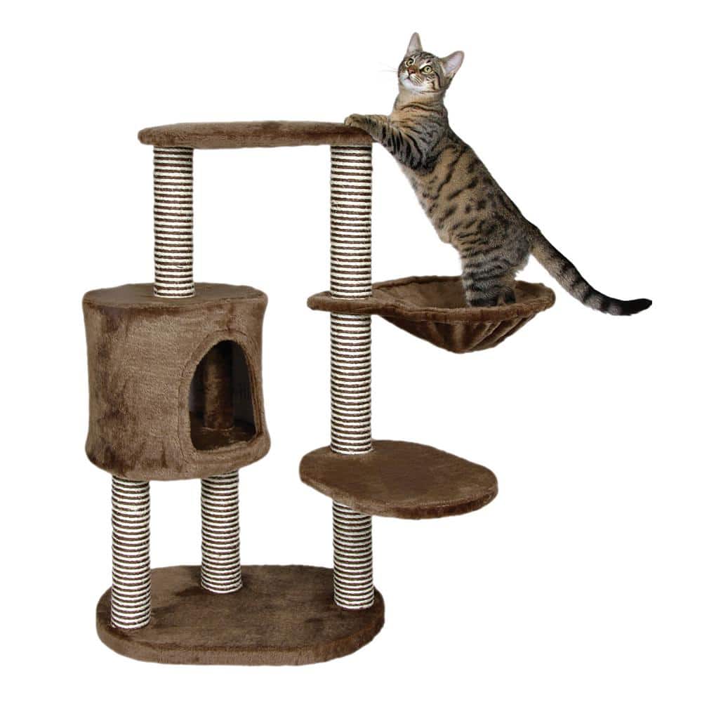 Chocolate Brown Sisal Cat Tree with Plush Condo and Hammock