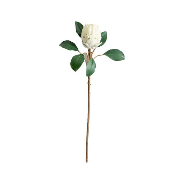 26in. Green Artificial King Protea Flower Stems-Set of 4