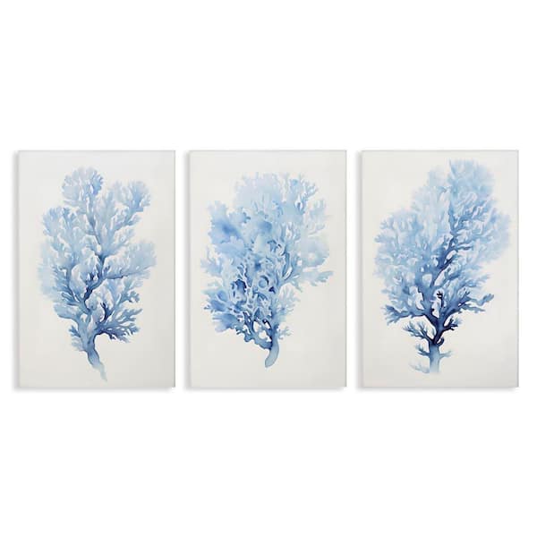 Indigo Coral Watercolors by Petal Prints Design 3 Pieces Unframed Coastal Graphic Art Print 24 in. x 16 in.