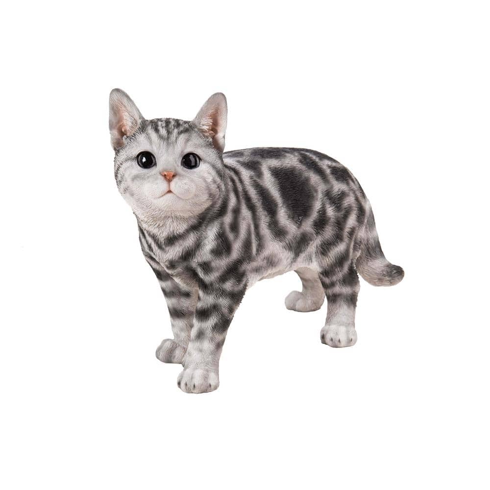 Life-Like Gray and White American Shorthair Cat Statue