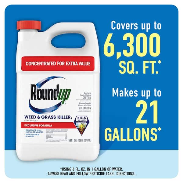 Roundup Weed and Grass Killer4 Concentrate, 1 gal, Visible Results in Hours  5376804 - The Home Depot