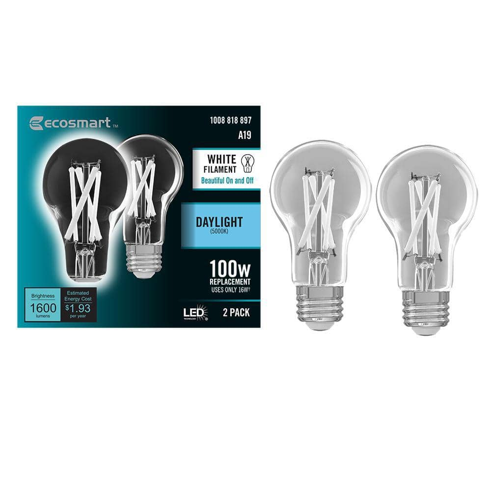 100-Watt Equivalent A19 Dimmable White Filament CEC Clear Glass E26 LED Light Bulb, Daylight 5000K (2-Pack) -  EcoSmart, A19100950WFECP2