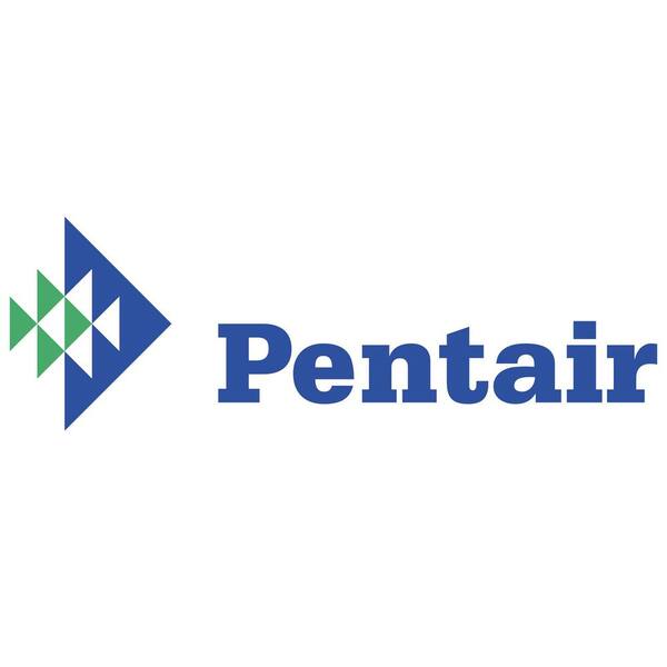 Pentair Rainbow Chlorinator Combination Check Valve Elbow R172061 / R172061Z