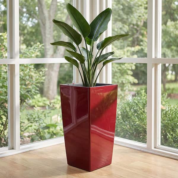 NEIGHBORHOOD／SRL SQUARE-HIGH PLANT POT Algreen Modena 22 in. Square, Gloss Red Self-Watering Plastic