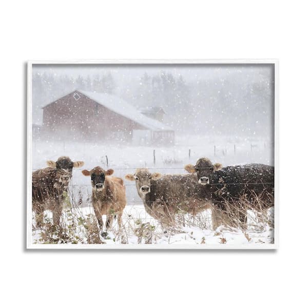 The Stupell Home Decor Collection Winter Farm Scene Cow Cattle Snowflakes Barn Design By Lori Deiter Framed Animal Art Print 20 in. x 16 in.
