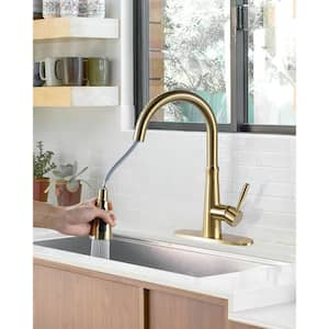 Single Handle Pull Down Sprayer Kitchen Faucet with Advanced Spray, Pull Out Spray Wand in Gold