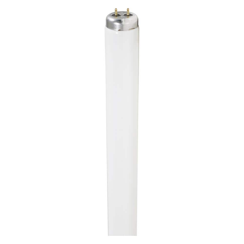 UPC 046135213717 product image for Sylvania 40-Watt 4 ft. Linear Tube T12 Fluorescent Light Bulb Cool White (2-Pack | upcitemdb.com