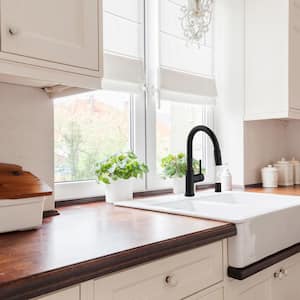 Eastport II Single-Handle Pull-Down Sprayer Kitchen Faucet in Matte Black
