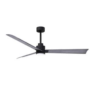 Alessandra 56 in. Integrated LED Indoor/Outdoor Black Ceiling Fan with Remote Control Included