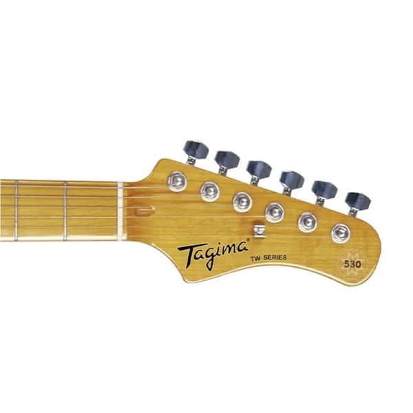 GW限定45万→37万ホームシアターセット TG 530-BK-LF/TT Gloss Black Finish Electric Guitar TG 530-BK-LF/TT