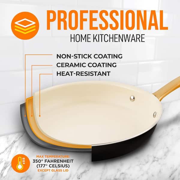 NutriChef 10 Fry Pan With Lid - Medium Skillet Nonstick Frying Pan with  Silicone Handle, Ceramic Coating, Blue Silicone Handle