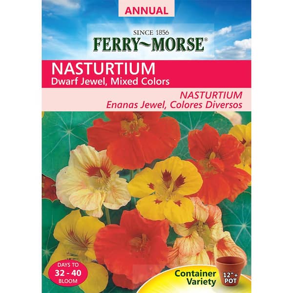 FerryMorse Nasturtium Dwarf Jewel Mixed Colors Seed 6106 The Home Depot