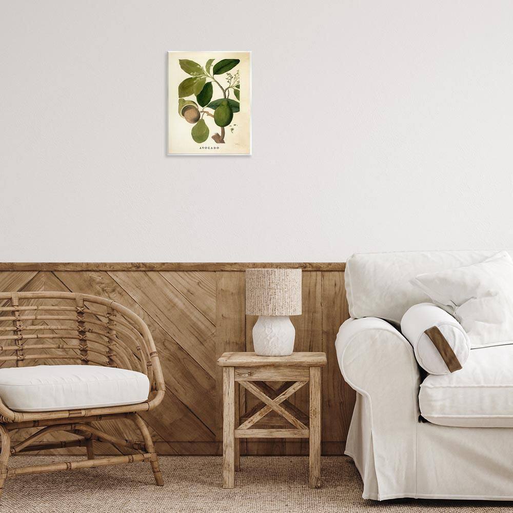 Vintage Avocado Plant by Lil' Rue Unframed Food Graphic Art Print 14 in. x 11 in. price history on PriceWatchPro