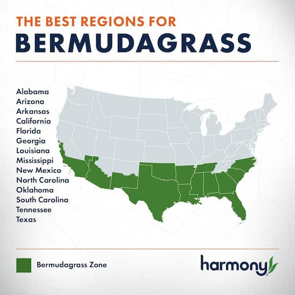 500 sq. ft. Bermuda Sod (1-Pallet)