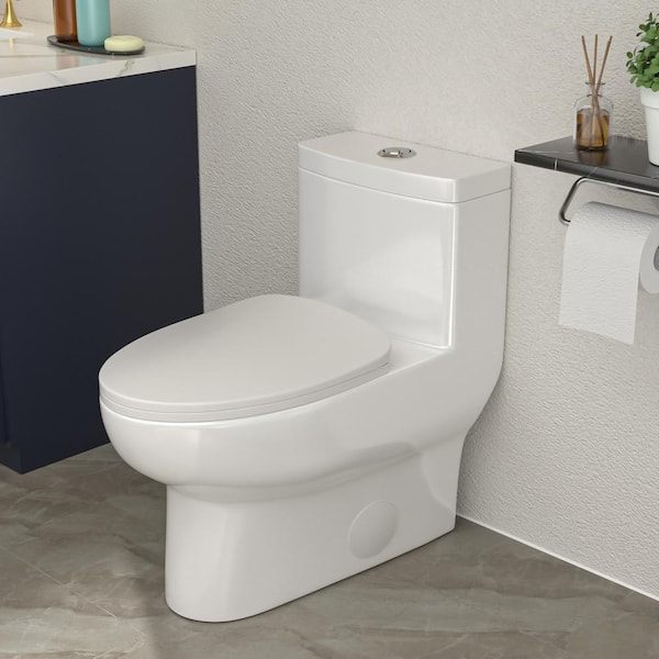 12 in. Rough-In 1-piece 1.6/1.1 GPF Dual Flush Elongated Toilet in White Slow Close Seat Included