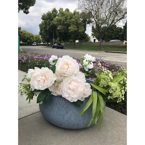 Medium 15.7 in. x 15.7 in. x 7.9 in. Cement Color Lightweight Concrete Modern Low Bowl Planter