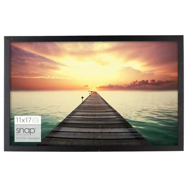 Pinnacle 11 in. x 17 in. Poster Picture Frame