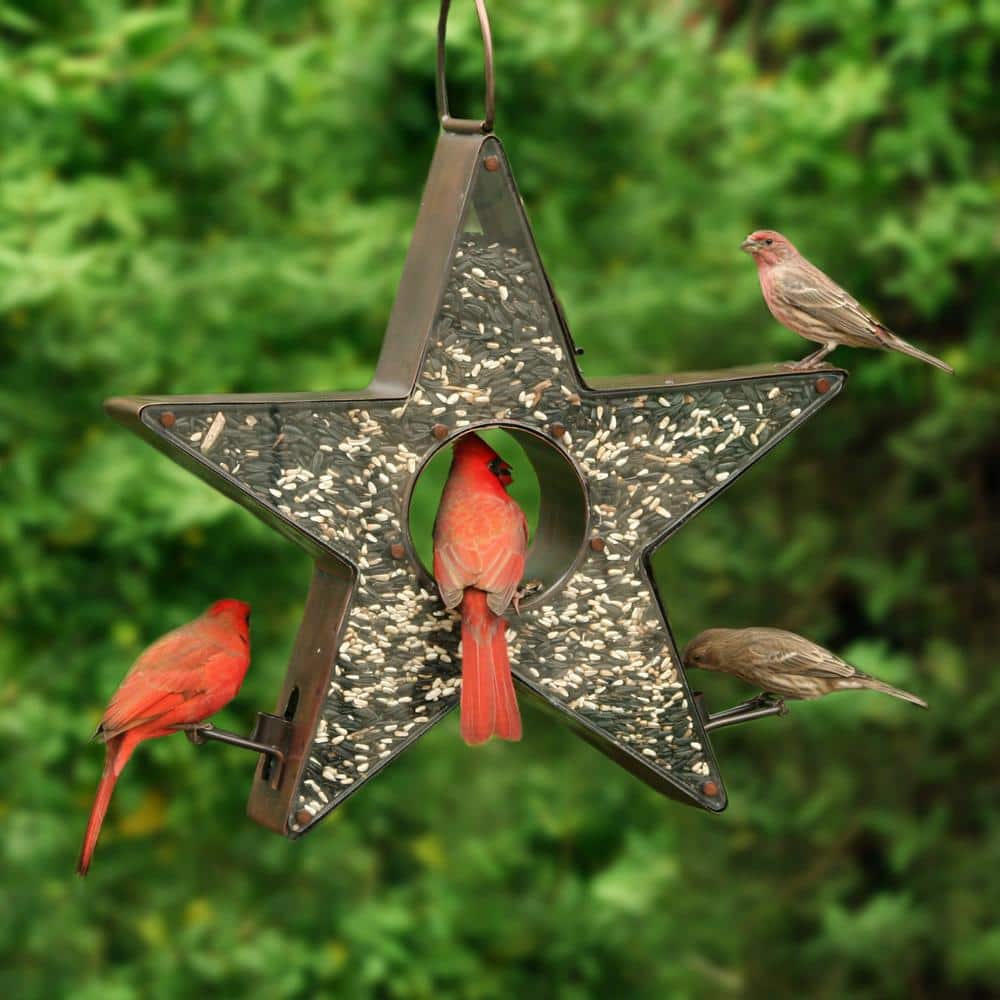Copper Star-Shaped Hanging Bird Feeder with Plexiglass Panels