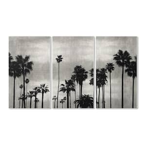 11 in. x 17 in. "Black and White Photography Palm Tree Silhouette Scene" by Artist Kate Bennett Wood Wall Art(3-pieces)