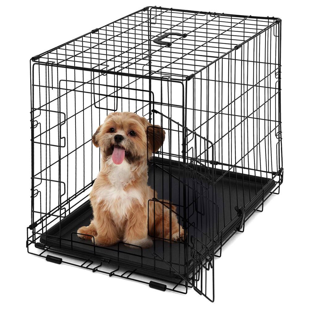 BOWHAUS 24 In W Foldable Dog Crate Wire Metal Dog Kennel With Divider 