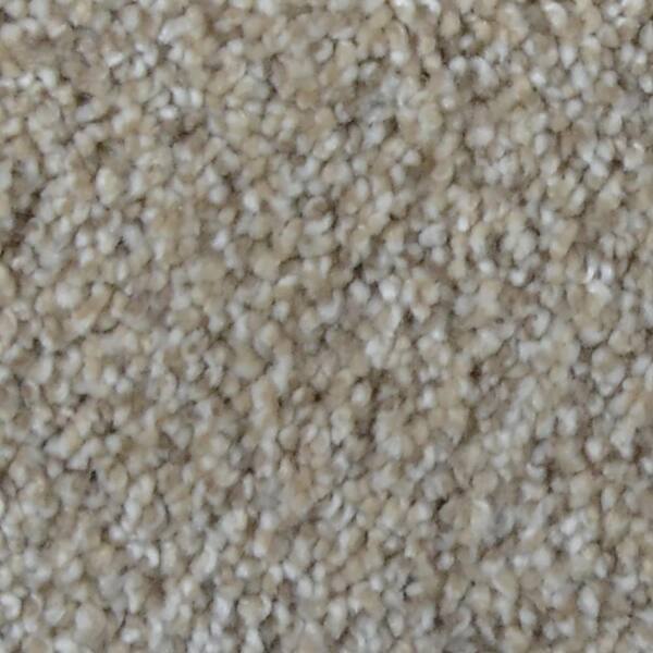 Home Decorators Collection Carpet Sample Stargazer Color Explorer