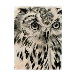 Jennifer Paxton Parker Charcoal Owl I Canvas Unframed Photography Wall Art 24 in. x 32 in