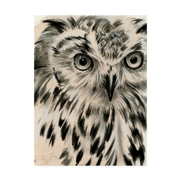 Trademark Fine Art Jennifer Paxton Parker Charcoal Owl I Canvas Unframed Photography Wall Art 24 in. x 32 in
