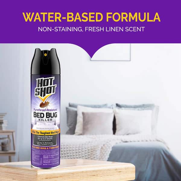 Hot Shot 17.5 oz. Pyrethroid-Resistant Bed Bug Insect Killer Aerosol HG ...